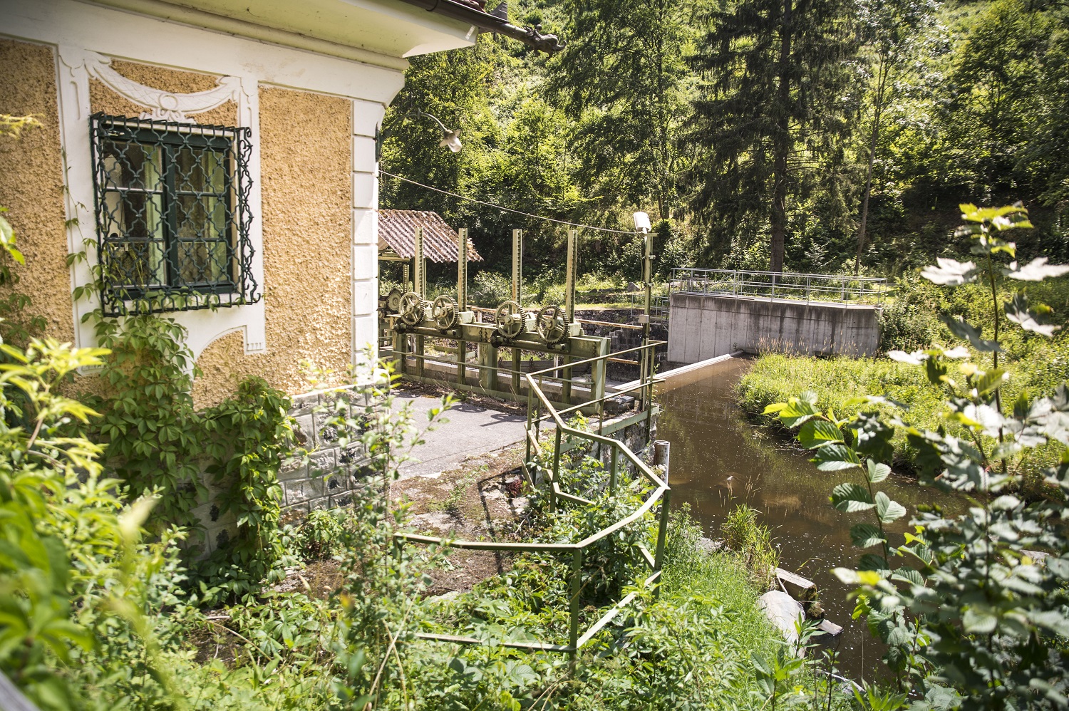 Fragen und Antworten zur Wasserkraft